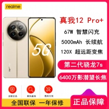 [原封]真我12 Pro+ 天际领航 12GB+256GB 第二代骁龙7S芯 6400W高清 67W快充 5000mAh长续航5G手机